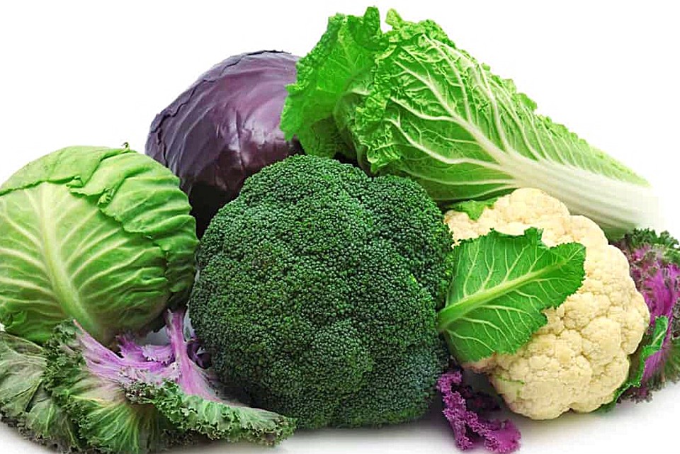 Brassicacee e malattie cardiovascolari