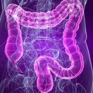 La salute dell’intestino come riflesso del benessere