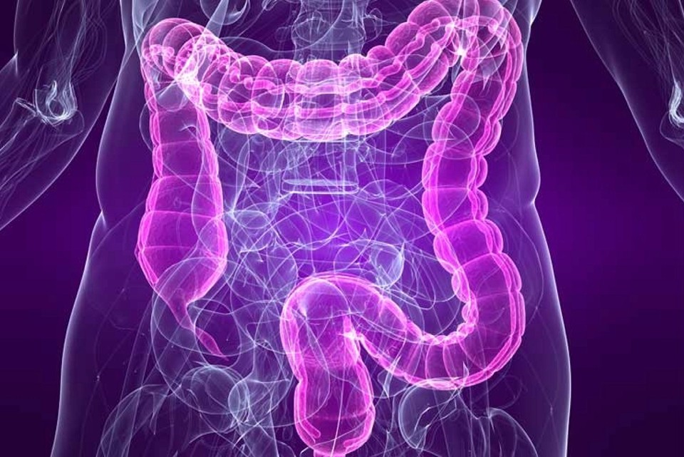 La salute dell’intestino come riflesso del benessere